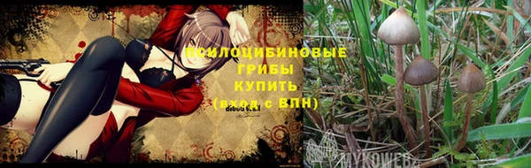 ALPHA PVP Белоозёрский
