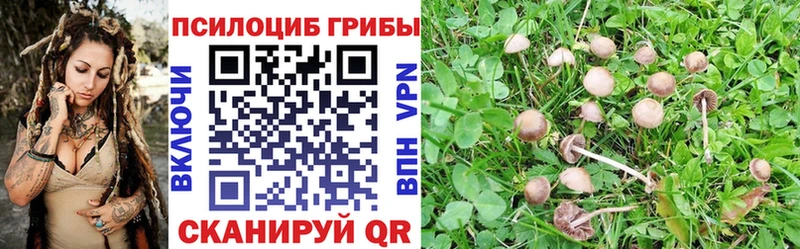 Галлюциногенные грибы мухоморы  Вельск 
